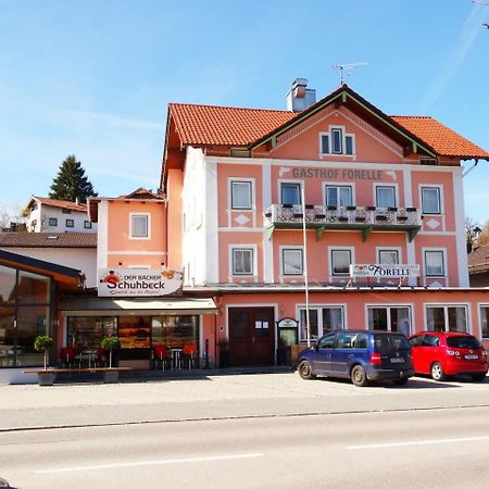 סייגסדורף Hotel Gasthof Forelle מראה חיצוני תמונה