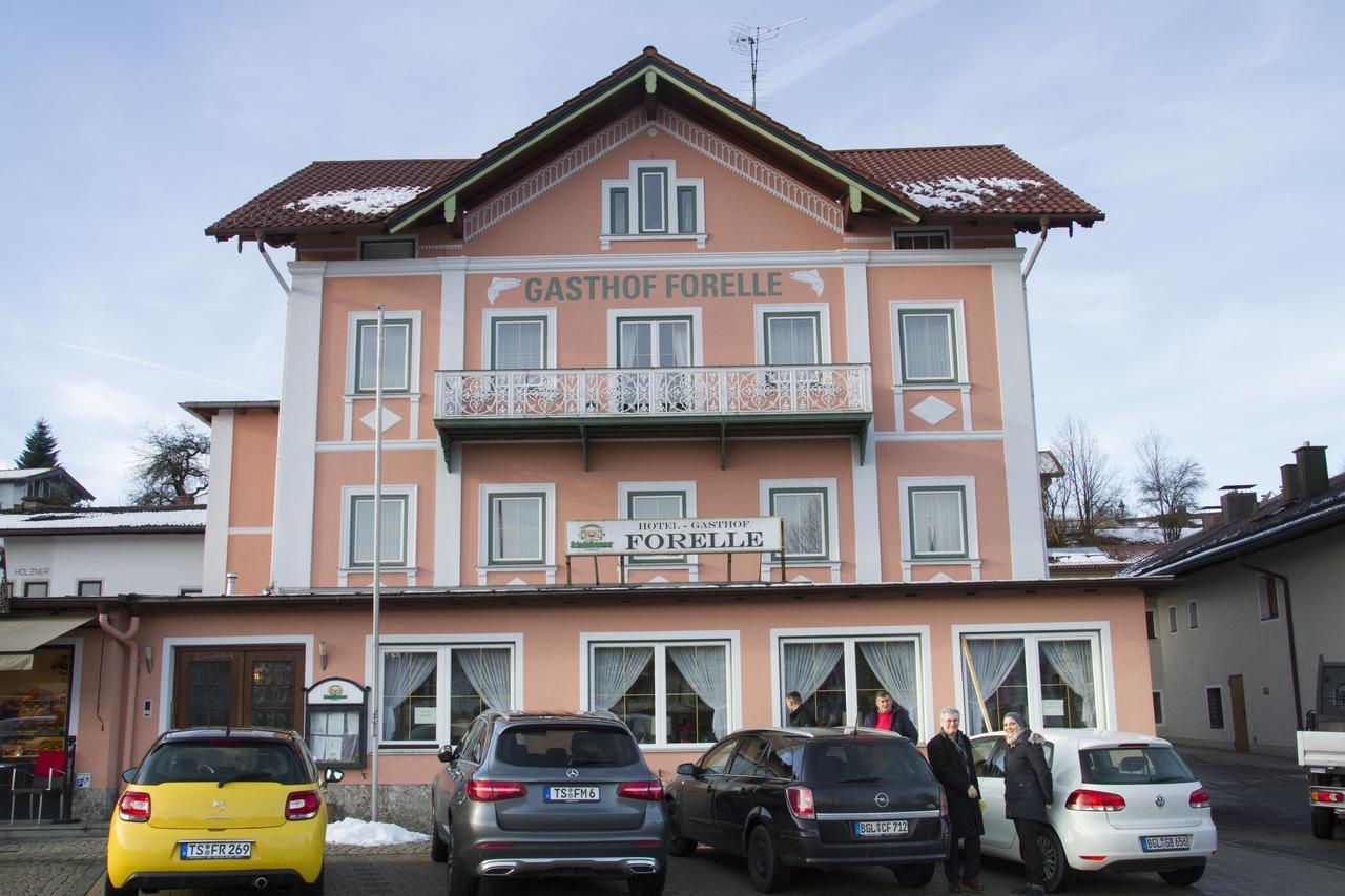 סייגסדורף Hotel Gasthof Forelle מראה חיצוני תמונה